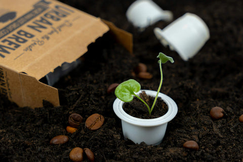 Compostable and Biodegradable Coffee Pods - What's the Difference?